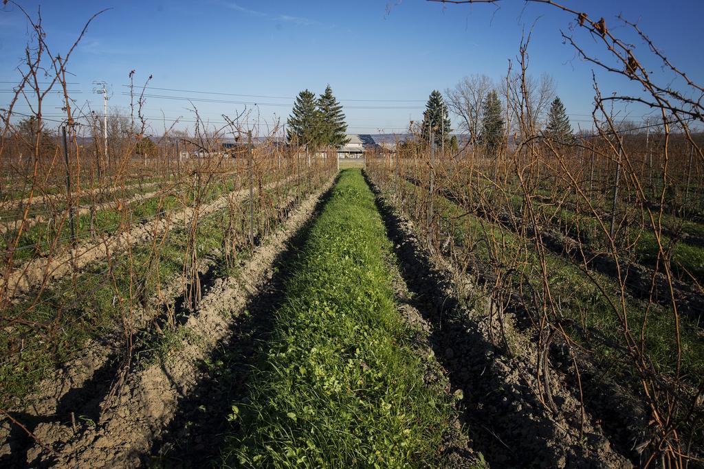 Savannah House Wine Country Inn & Cottages Himrod Eksteriør bilde